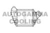 VW 1C0145803A Intercooler, charger